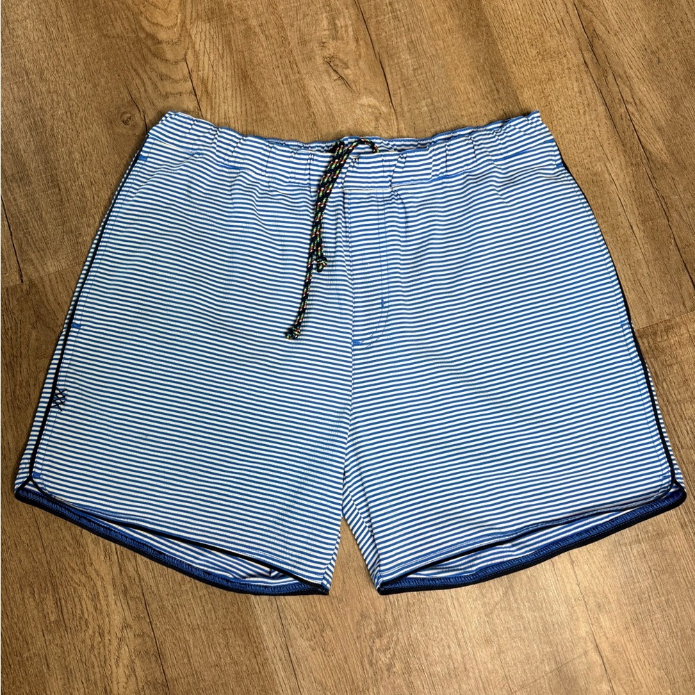 Rhone Men's Blue White Striped Athletic Shorts L Drawstring Polyester